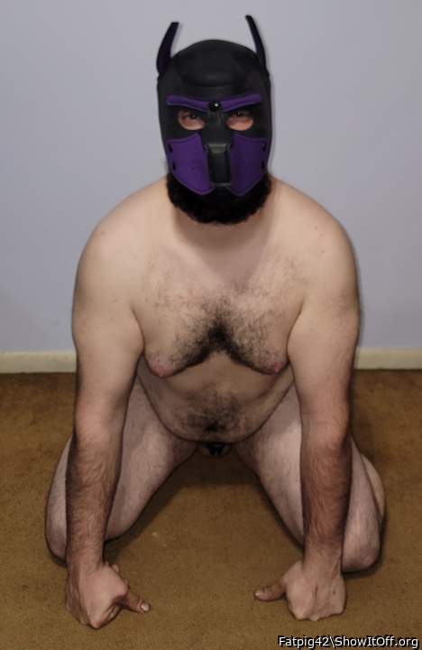 Adult image from Fatpig42
