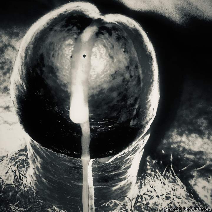 💓😍 I sure love this picture beautiful cock