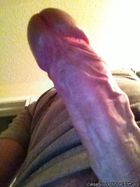 Adult image from Calgarycock