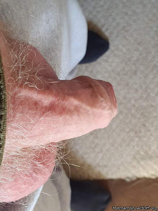 Adult image from Motman