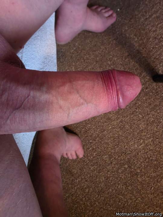 Adult image from Motman