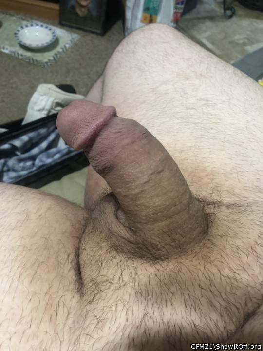 Adult image from GFMZ1