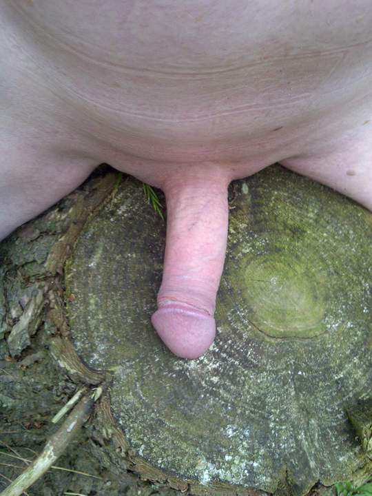 Adult image from protwin