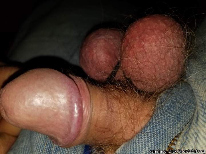Adult image from vanishing_Dick