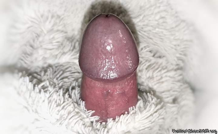 Blood filled (is it suckable?)
