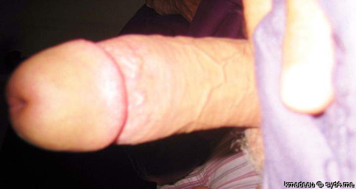 morning wood