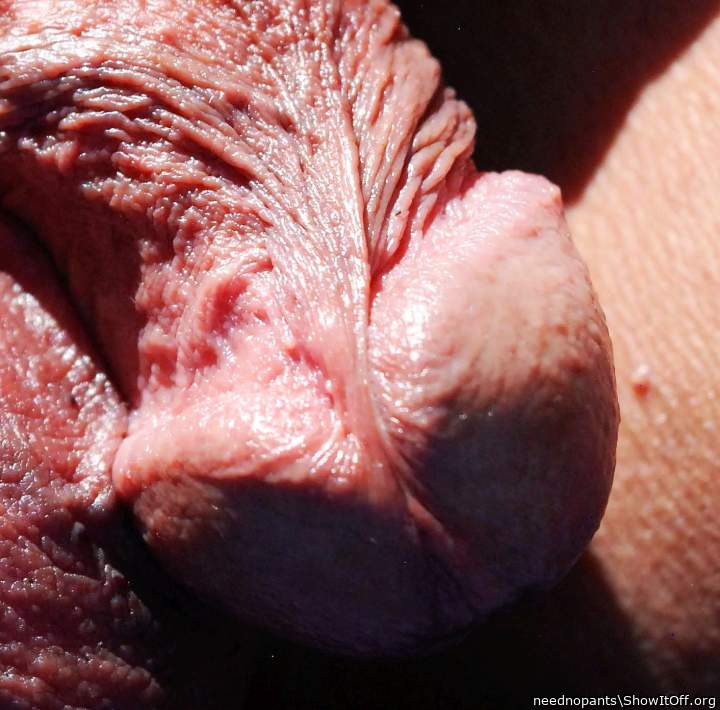 Adult image from neednopants