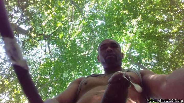 Adult image from Melvin