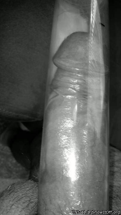 Adult image from TNT-48-8