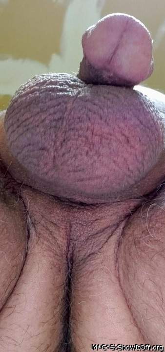 Adult image from M*C*S