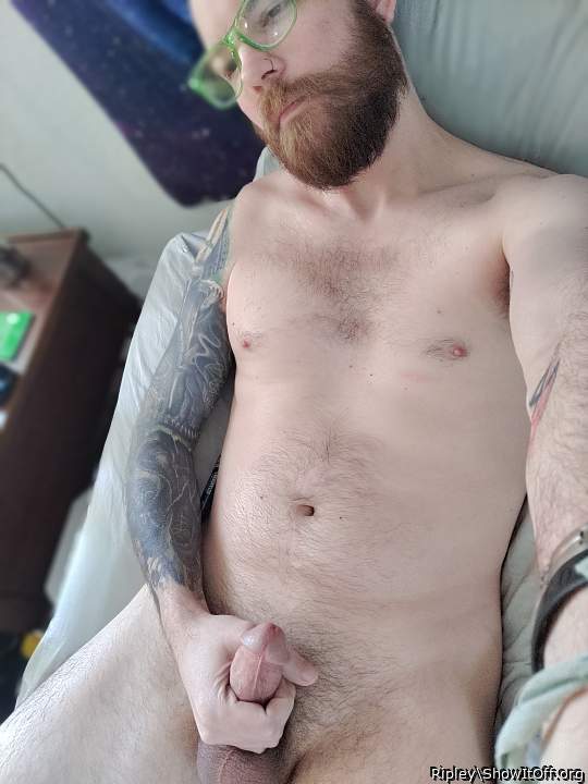 Adult image from Ripley