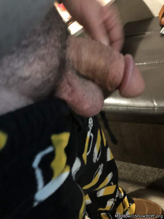 Adult image from M308ben