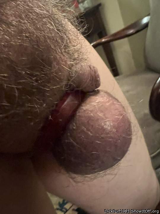 Adult image from DickFun1981