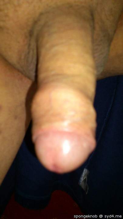 Adult image from spongeknob