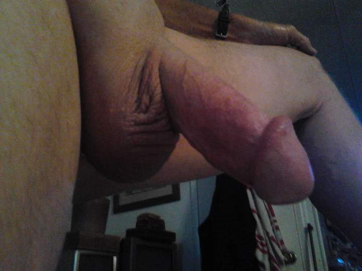 Adult image from fish4free