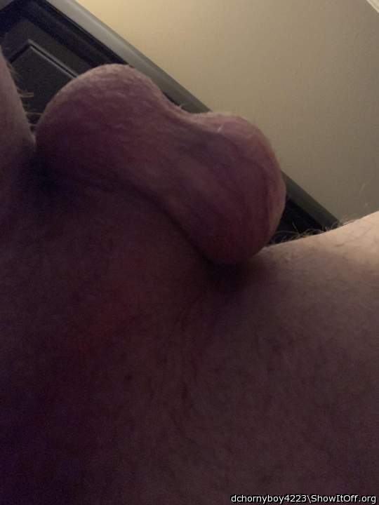 Adult image from dchornyboy4223