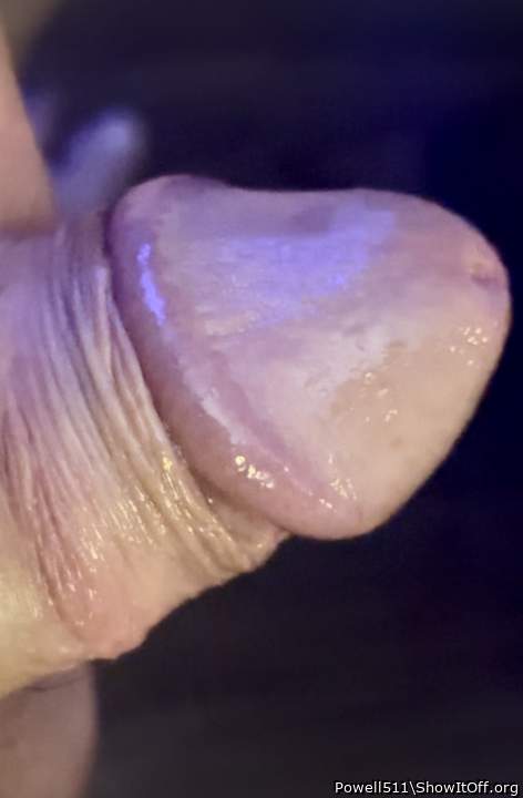 I'd like to suck your dick.