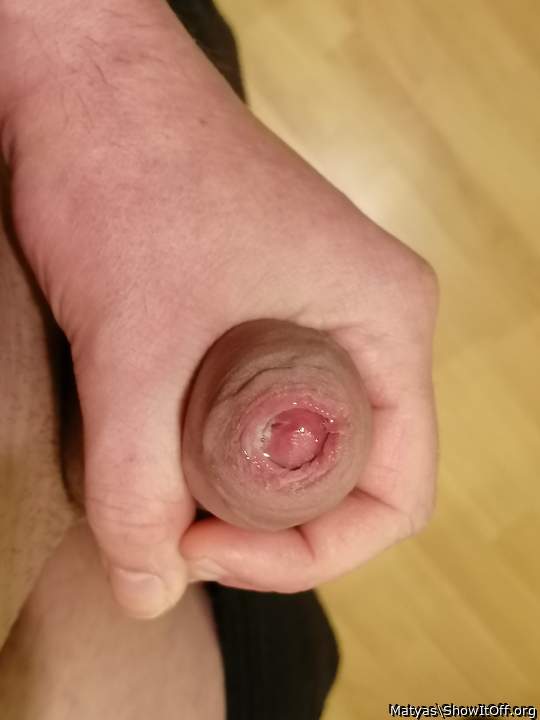 Adult image from Matyas