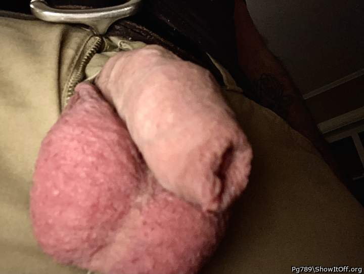 Adult image from Pg789