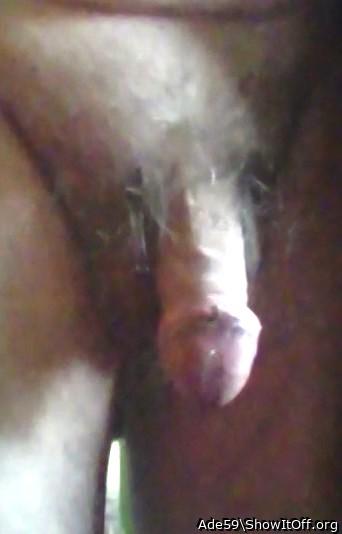 Adult image from Ade59