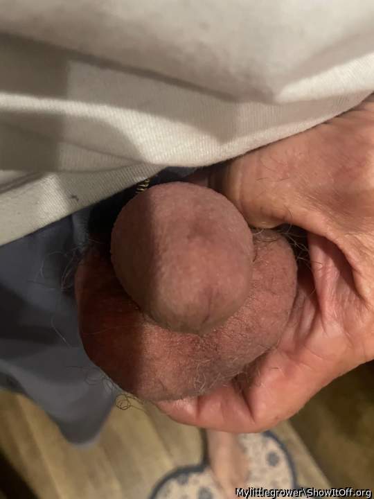 Adult image from Mylittlegrower