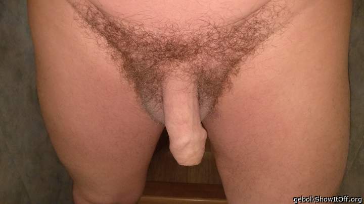 Adult image from gebol