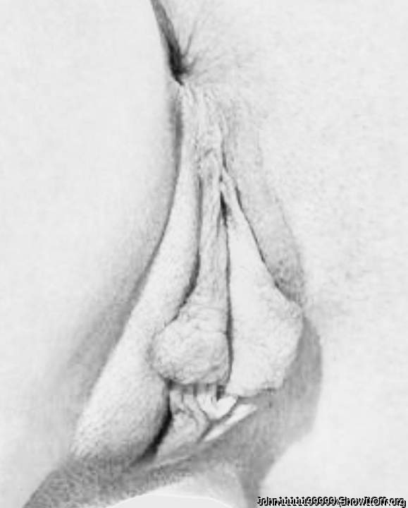 heart of the art 
