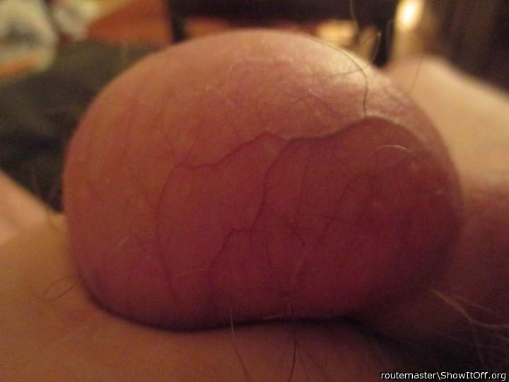 Adult image from routemaster