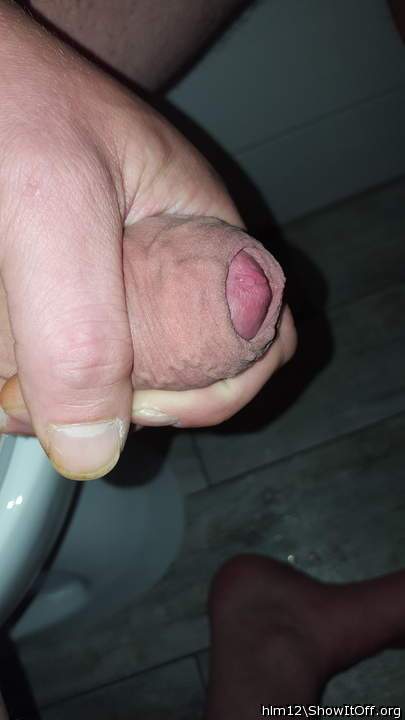Adult image from hlm12