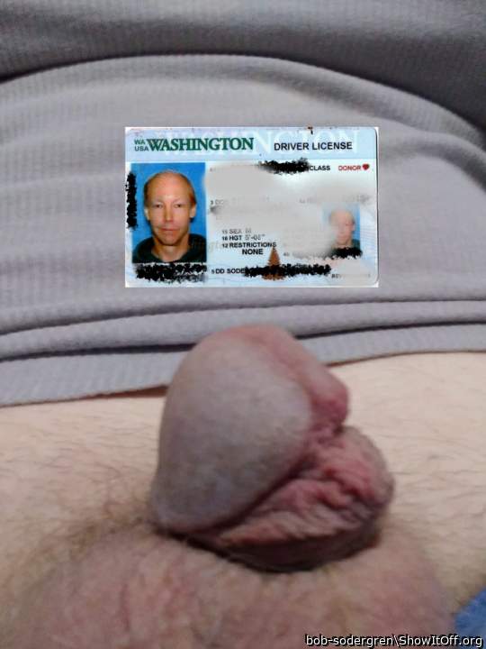 Bob-Sodergren-aka-Tara-Mc-Lovin-shares-his-giant-hardon-Drivers-License-ID-Proof