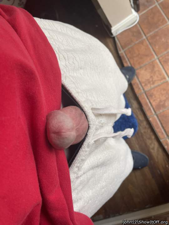  sexy pet of the family !!