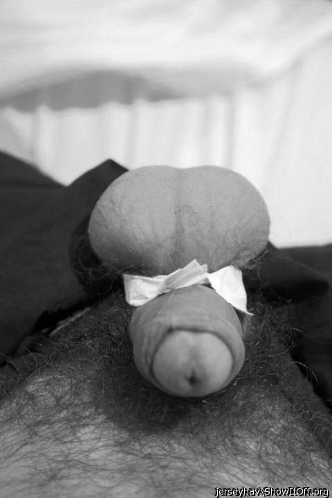 Adult image from jerseyhav