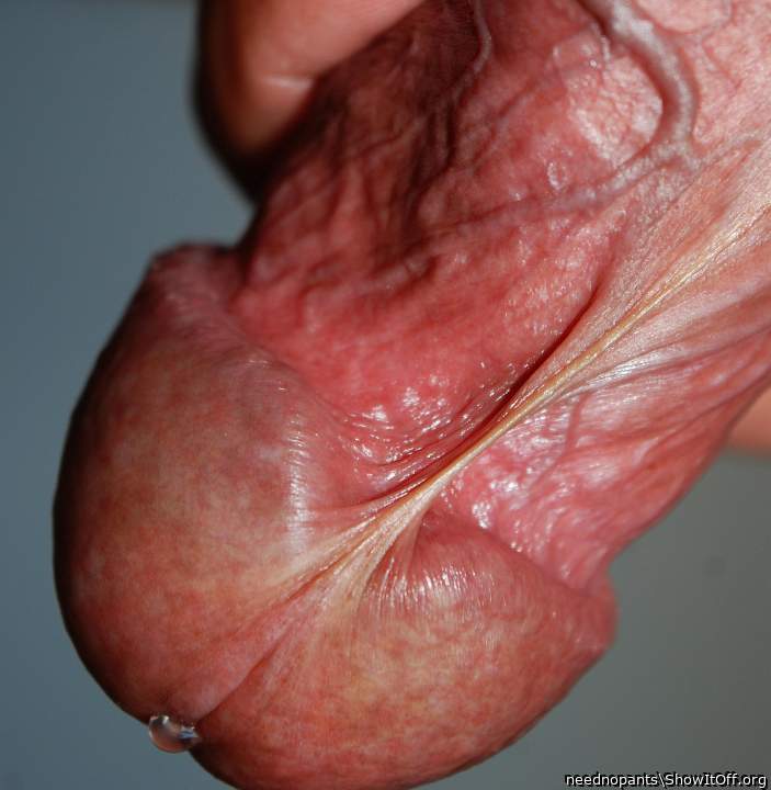 Adult image from neednopants