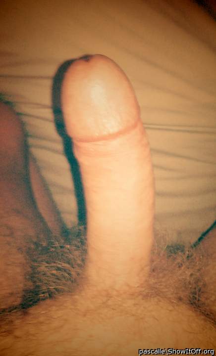 Adult image from pascalle