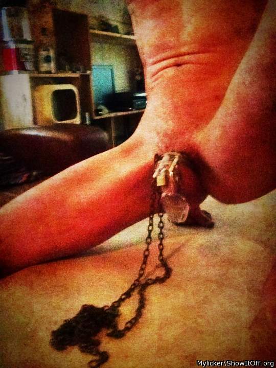 Adult image from Mylicker