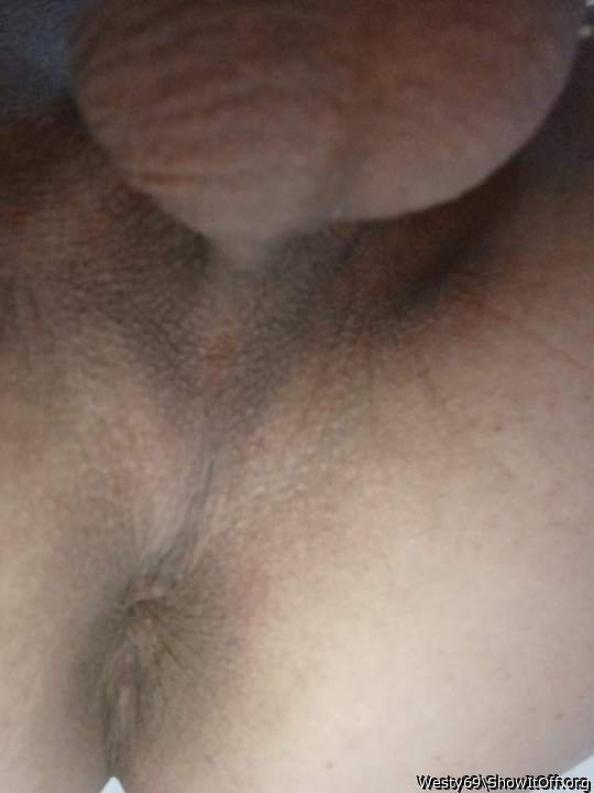 Adult image from Westy69