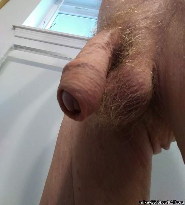 Foreskin