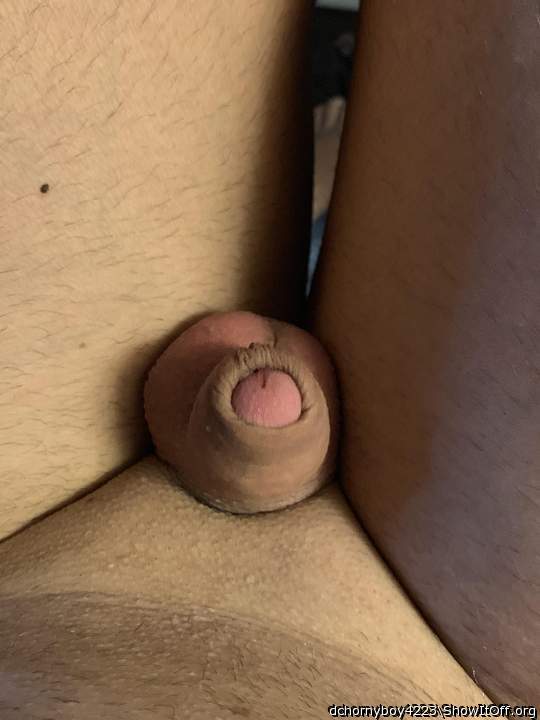 Adult image from dchornyboy4223