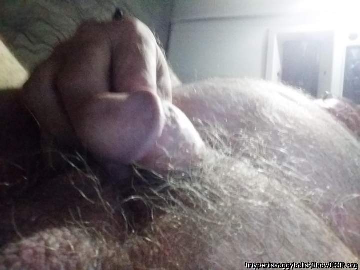 Adult image from tinypenissaggyballs