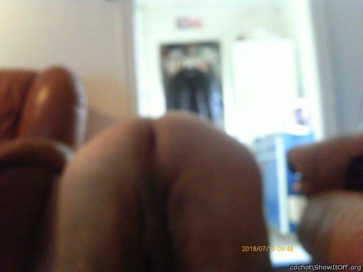 Adult image from cochot