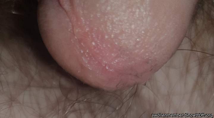 Adult image from swollenmember