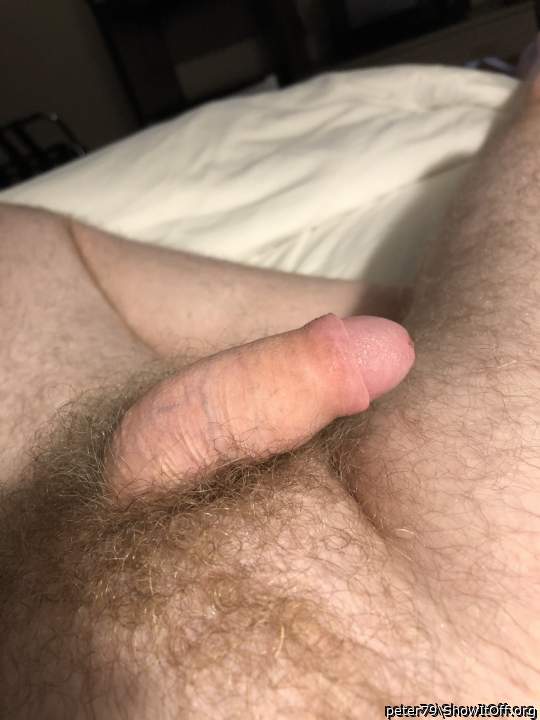 Adult image from peter79