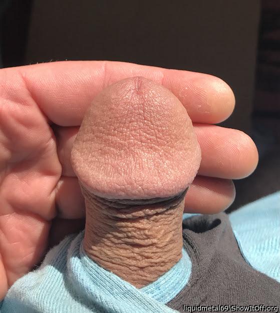 Adult image from liquidmetal69