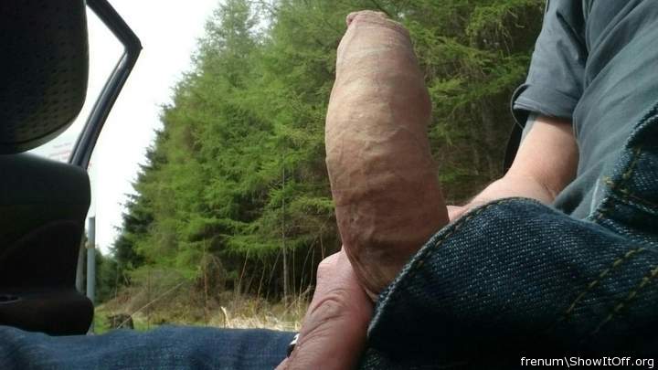 Adult image from Frenum