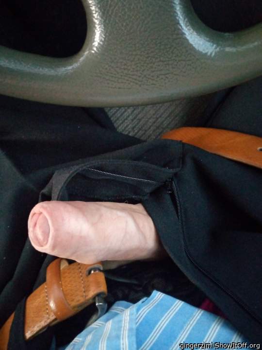 Adult image from gingerzim