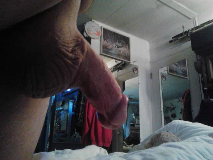 Adult image from fish4free