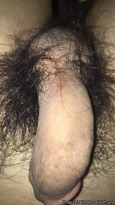 Adult image from Zhao123456