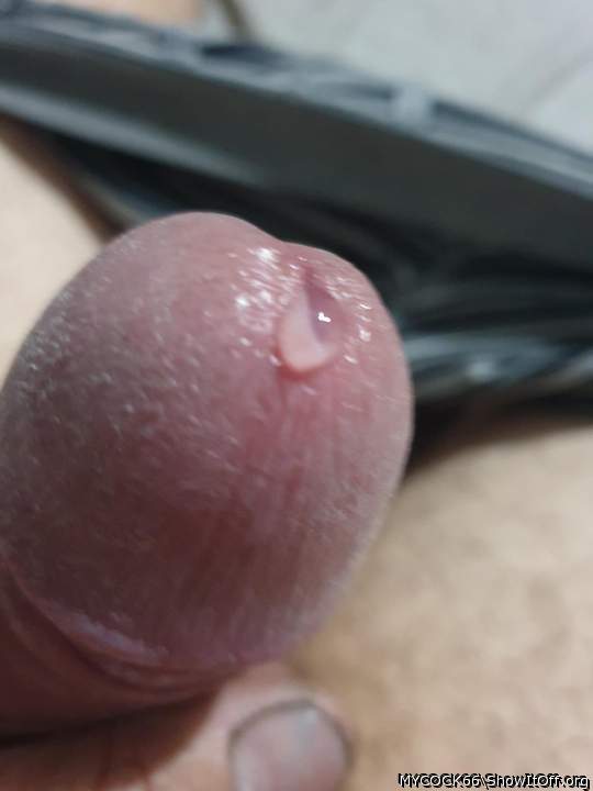 Adult image from MYCOCK66
