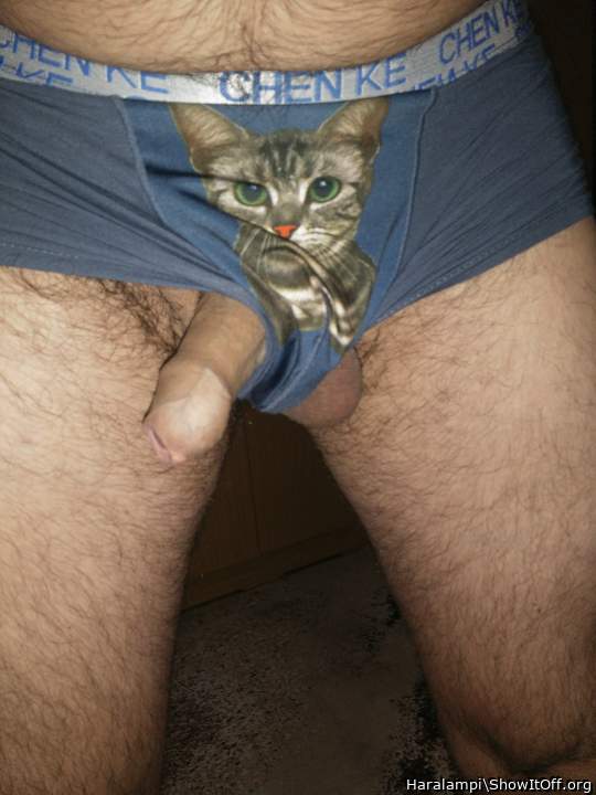Adult image from Haralampi