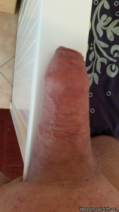 Adult image from Pit66
